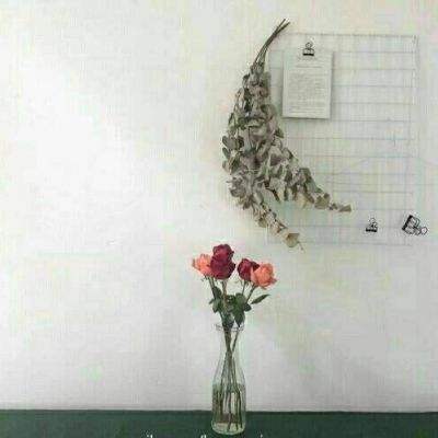 指趣妖神记下载